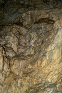 Westliche Buchleitenhöhle (A 181a) 14
