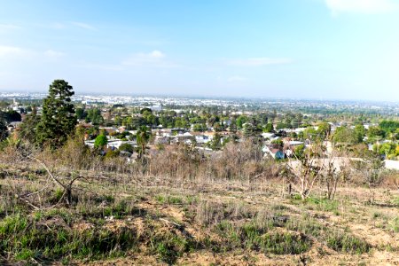 Whittier CA seen from Hellman park (Peppergrass) trail