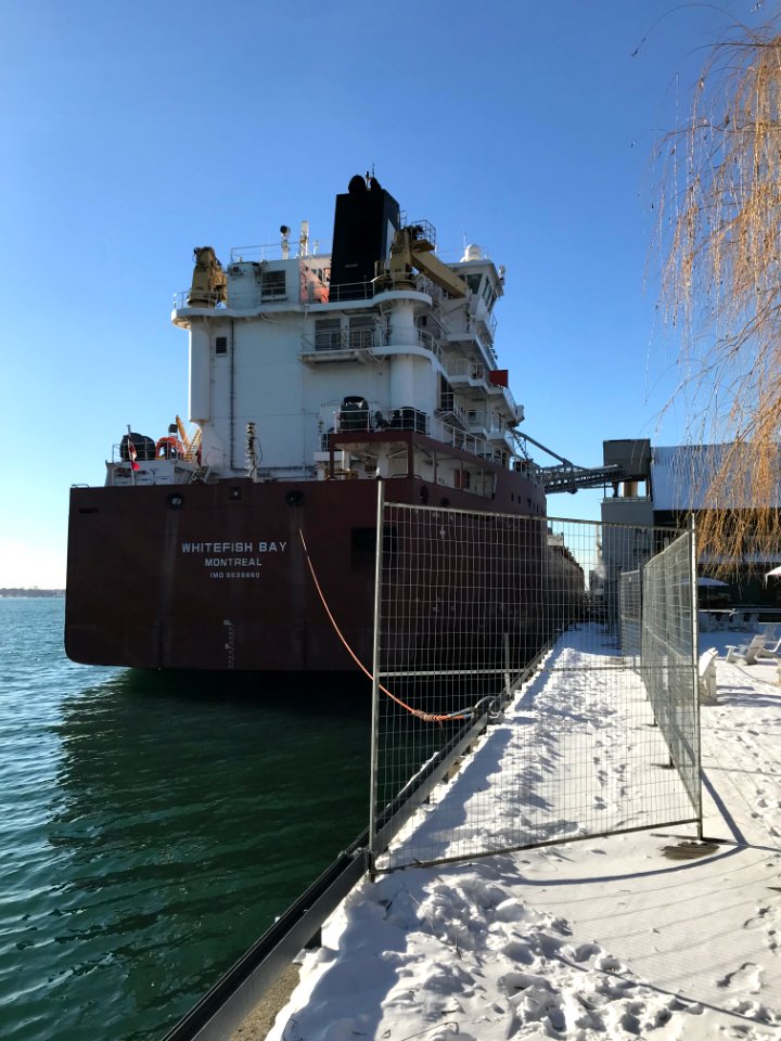 Whitefish Bay at Queens Quay