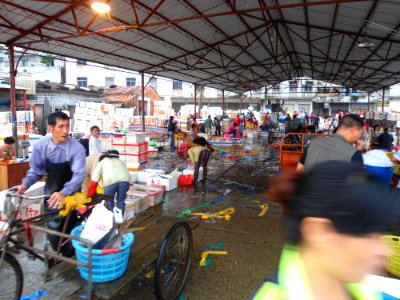 Wholesale fish market at Haikou New Port - 16 photo