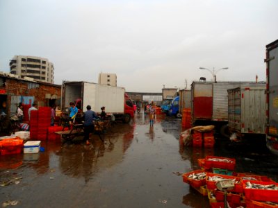 Wholesale fish market at Haikou New Port - 09