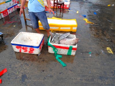 Wholesale fish market at Haikou New Port - 12 photo