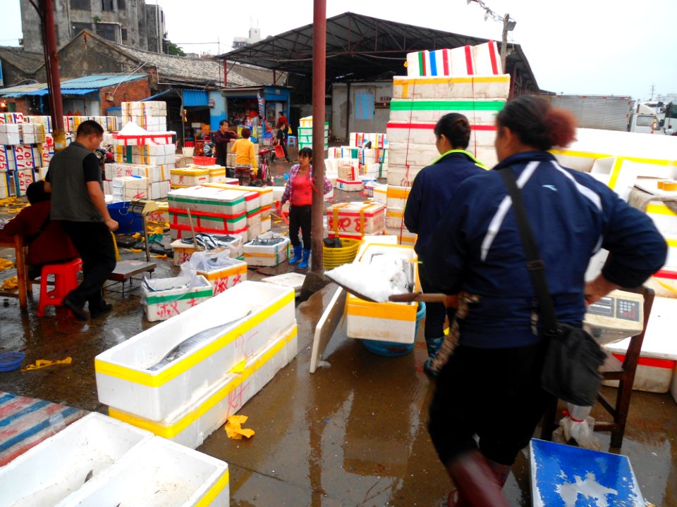 Wholesale fish market at Haikou New Port - 17