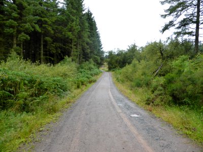 Whw-drymen-balmaha-1