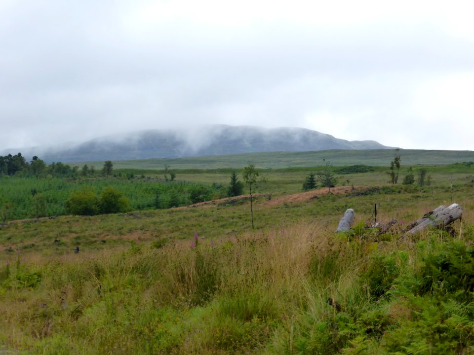 Whw-drymen-balmaha-9