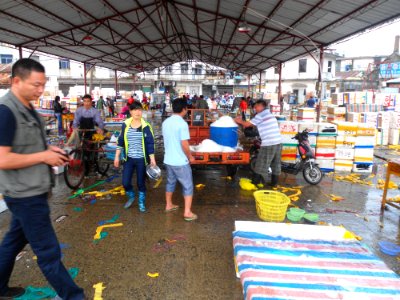 Wholesale fish market at Haikou New Port - 15