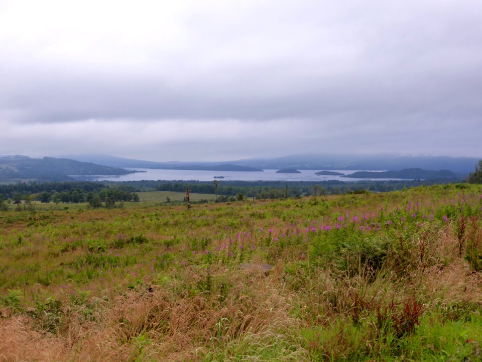 Whw-drymen-balmaha-5