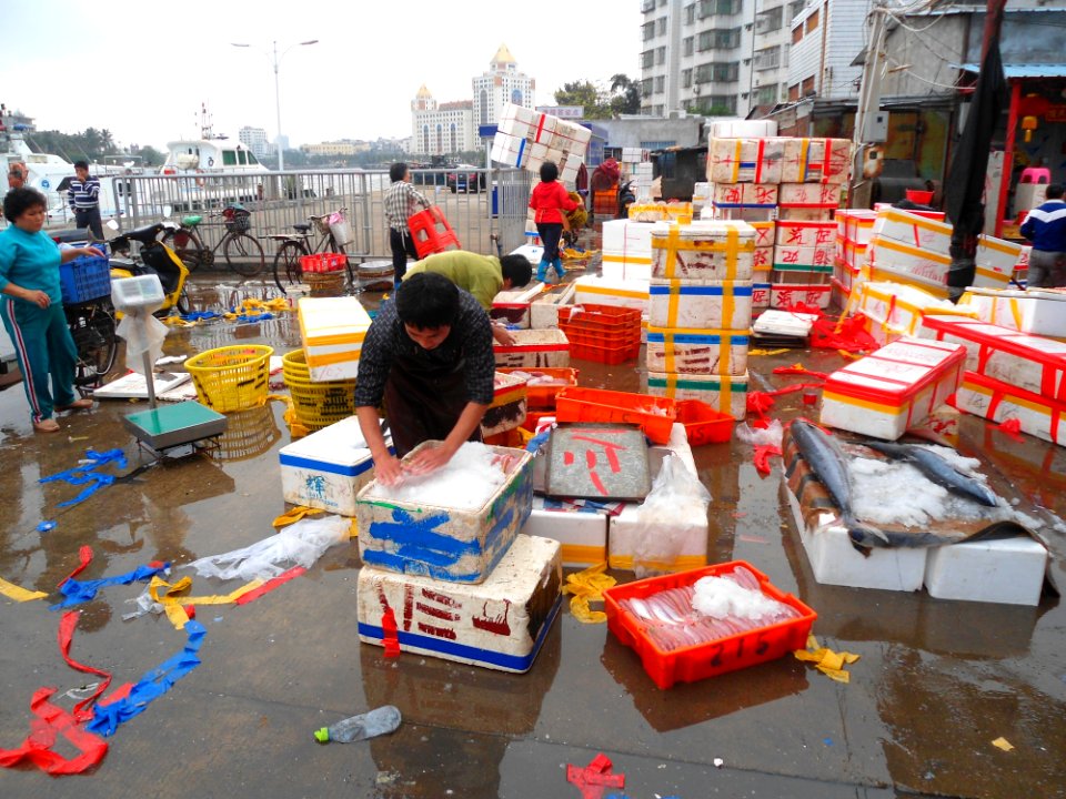 Wholesale fish market at Haikou New Port - 14