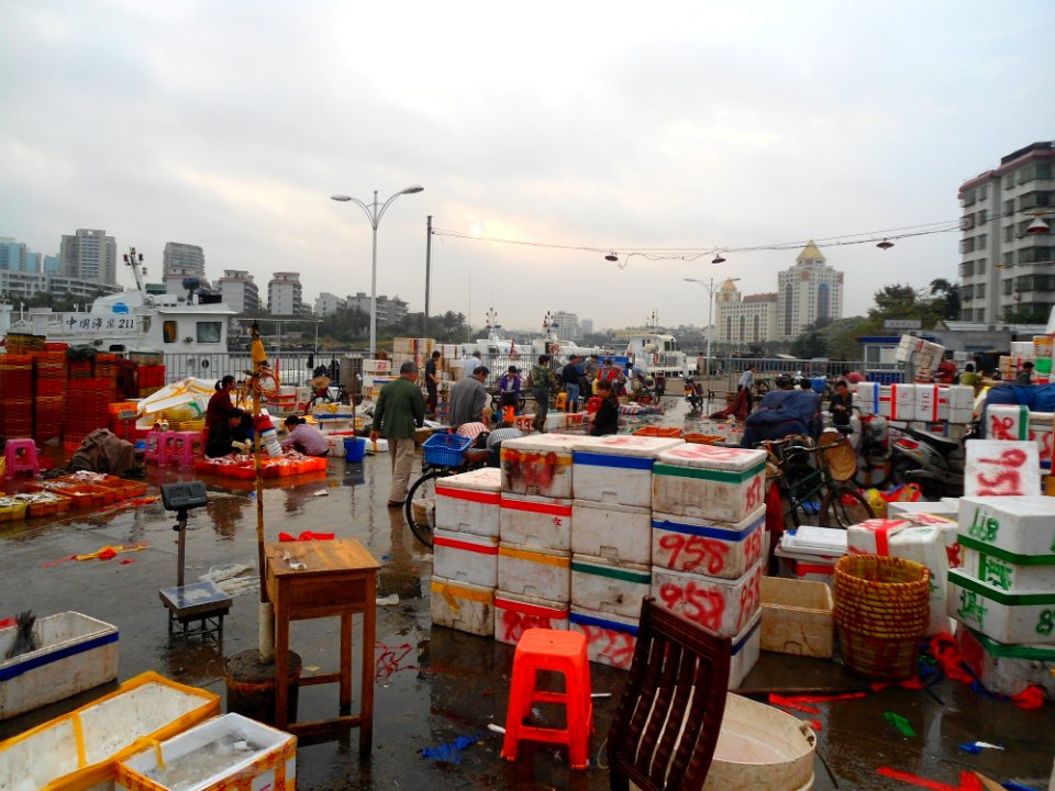 Wholesale fish market at Haikou New Port - 05