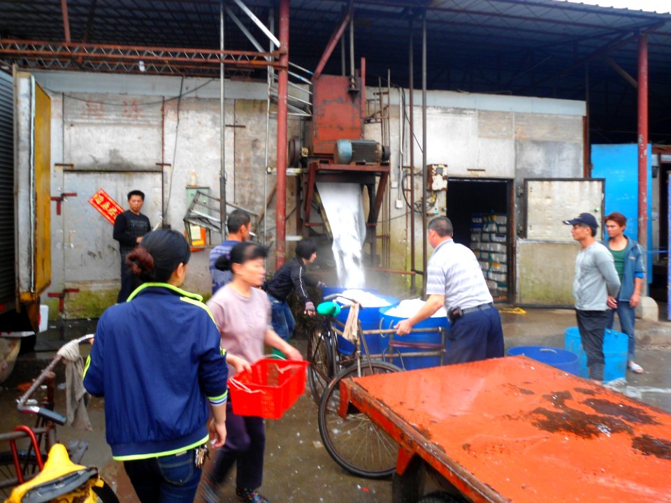 Wholesale fish market at Haikou New Port - 11