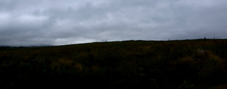 Whw-drymen-balmaha-7