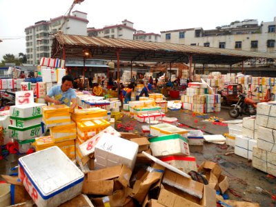 Wholesale fish market at Haikou New Port - 07