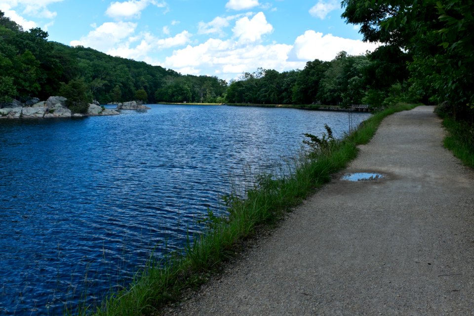 Widewater, looking downstream on Chesapeake and Ohio Canal