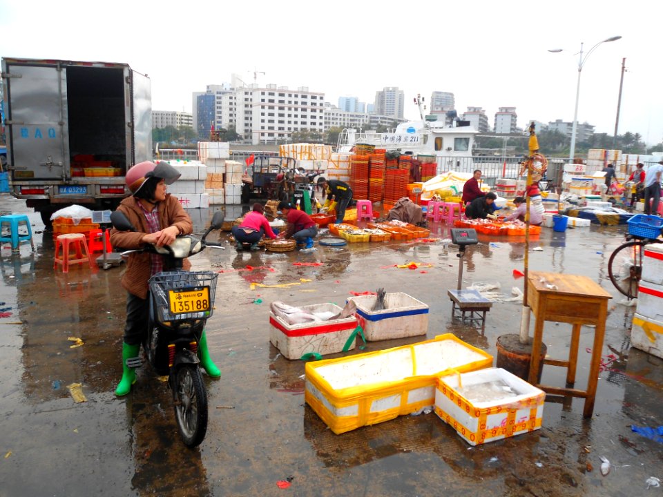 Wholesale fish market at Haikou New Port - 06