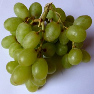 White-grape-1 photo