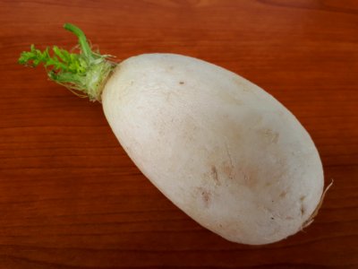 White turnip 2017 A1