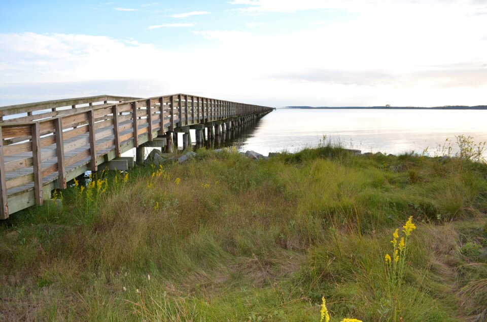Swan quarter boardwalk coastal north carolina