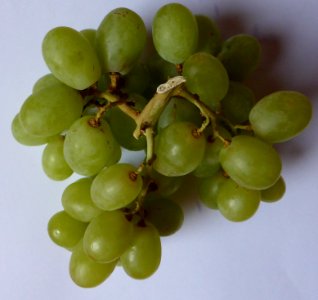 White-grape-2 photo