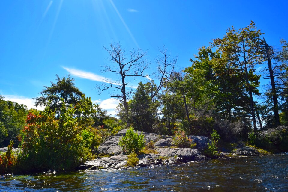Morning natural landscape