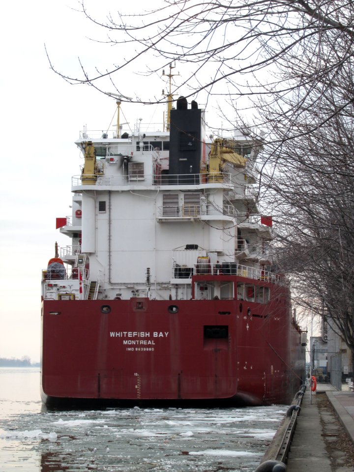 WhitefishBay2019 02
