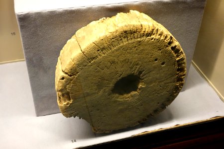 Wheel for funeral processions - Kongo - Royal Museum for Central Africa - DSC05777