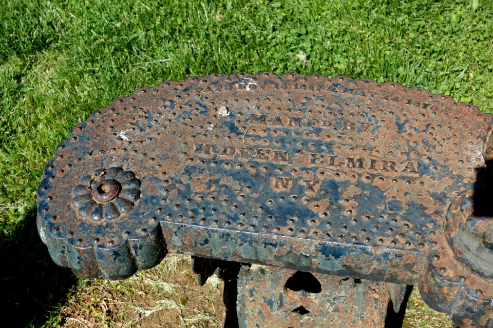 Whatnot - Stanley M. Rowe Arboretum - DSC03338
