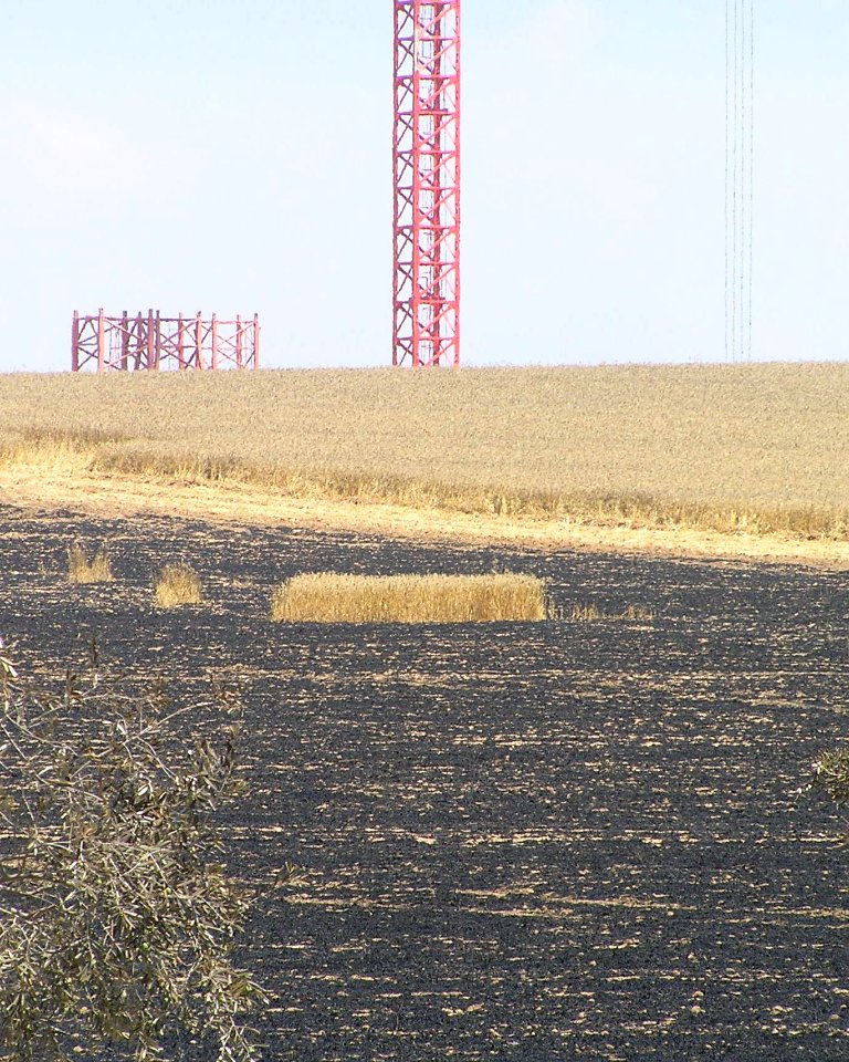 Wheat field near Sapir college firebombe kite damage 508