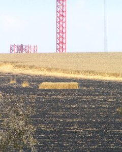 Wheat field near Sapir college firebombe kite damage 508