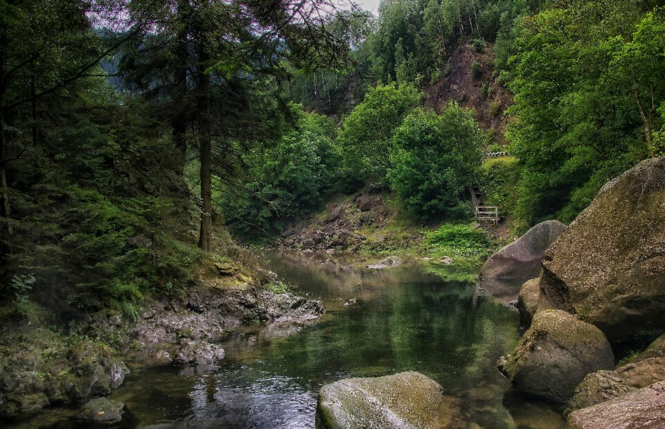 Forest romantic bank