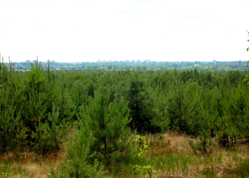 Widok ze Zbocza Jachcic