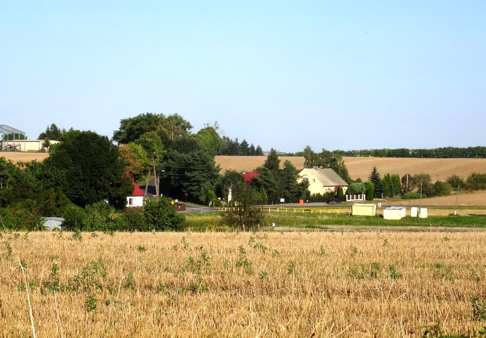Wiechrzucinek z4