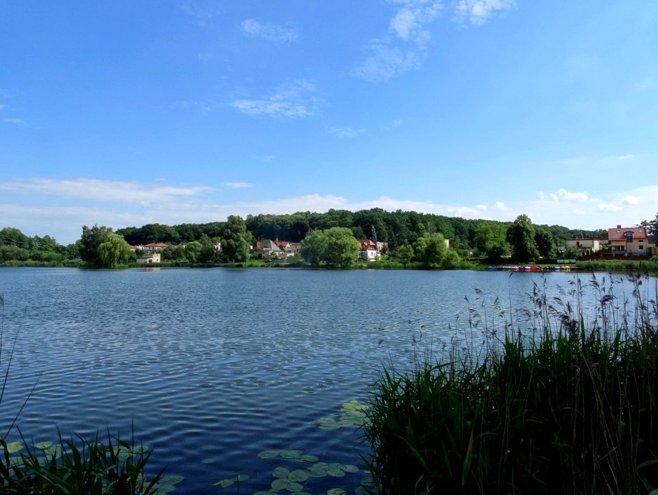 Wiecborskie Lake 6 6-2016