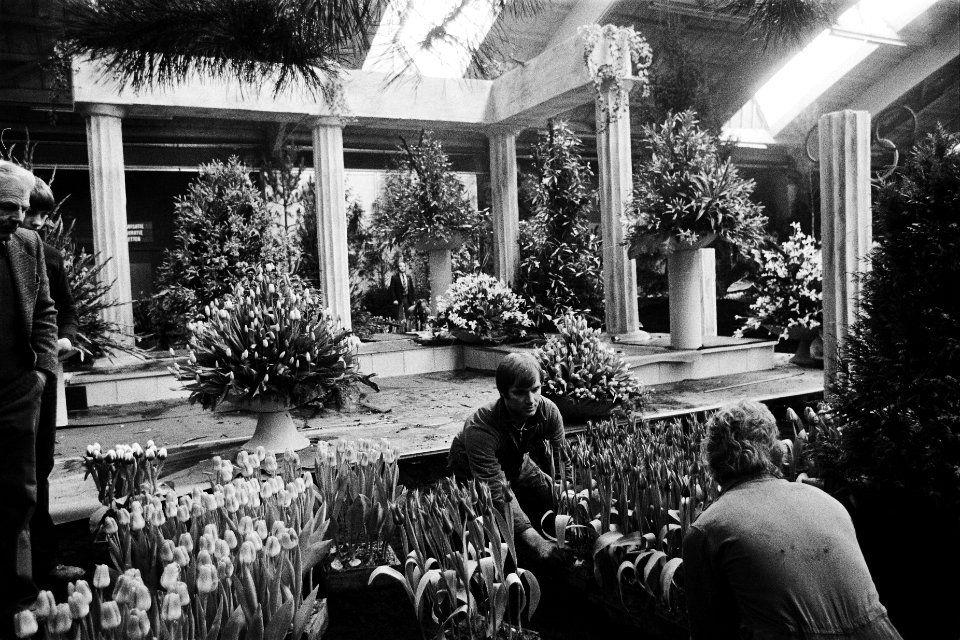 West Friese Flora in Bovenkarspel in teken van geschiedenis Olympische Spelen , Bestanddeelnr 930-6719