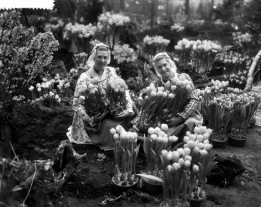 West Friese flora 1959 (in West friese klederdracht ), Bestanddeelnr 910-1584