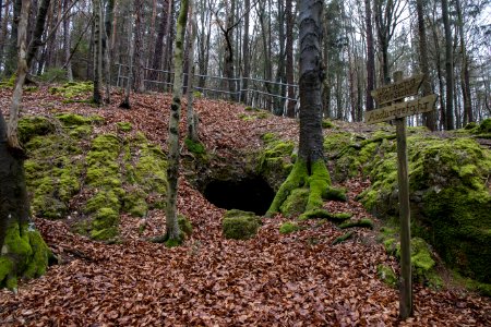 Wiedelloch (A 111) 01