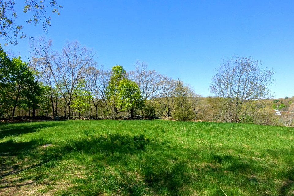 West Farm - Lexington, MA - DSC01491