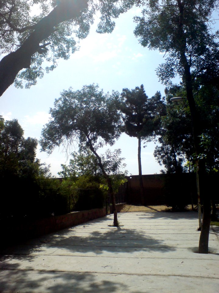 West part of Al-Mahruq park