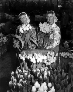 West Friese flora 1959 (in West friese klederdracht ), Bestanddeelnr 910-1585