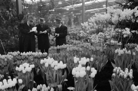 West Friese Flora te Bovenkarspel, jury tijdens beoordel van de inzendingen, Bestanddeelnr 912-1232