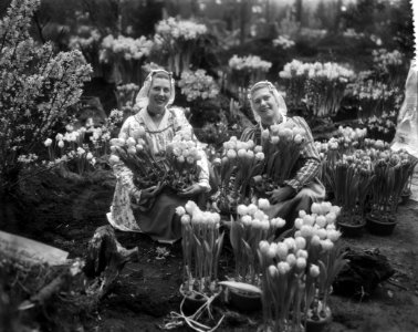 West Friese flora 1959 (in West friese klederdracht ), Bestanddeelnr 910-1583