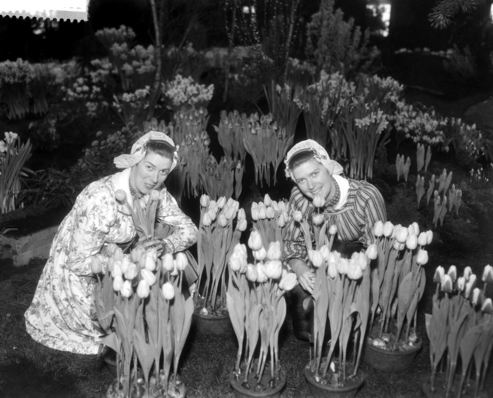 West Friese flora 1959 (in West friese klederdracht ), Bestanddeelnr 910-1587