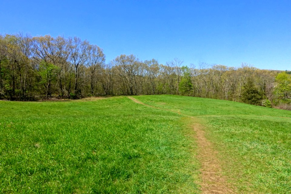 West Farm - Lexington, MA - DSC01511