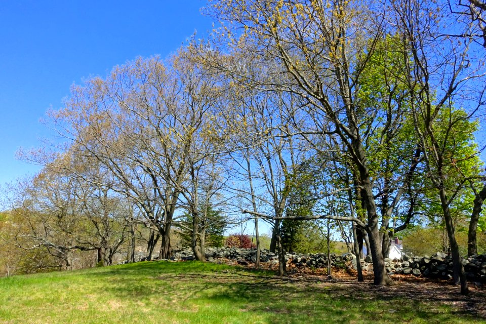 West Farm - Lexington, MA - DSC01505