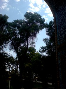 West portico of Al-Mahruq Mosque - Tiling 21 photo