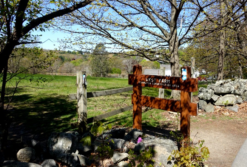 West Farm - Lexington, MA - DSC01481