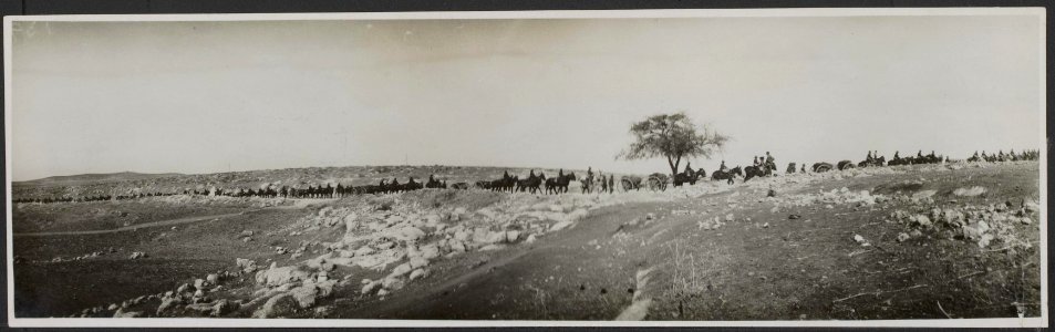 West Country troops in the Judean foot-hills artillery on the march, Bestanddeelnr 158-2545