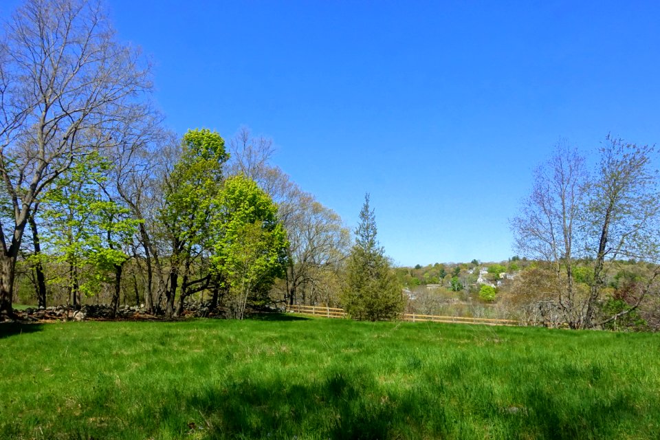 West Farm - Lexington, MA - DSC01495