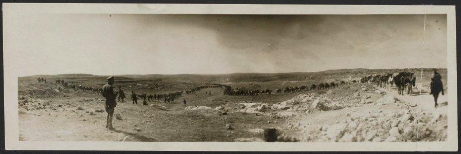 West Country troops in the Judean foot-hills transport on the march, Bestanddeelnr 158-2547