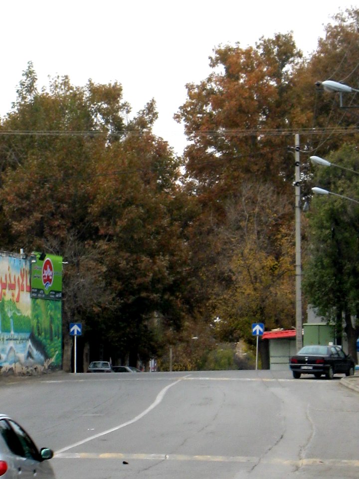 West edalat st - autumn - Nishapur 1