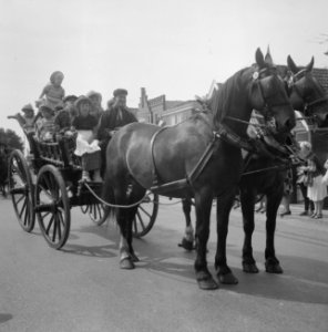 West Friese Folkloredag in Schagen, Bestanddeelnr 916-6107